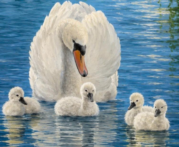 Matted Print - Mother Swan  (Healing Print)