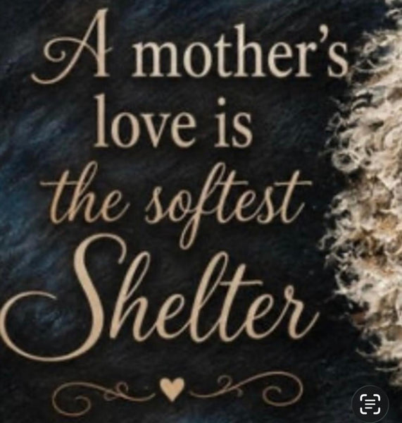Framed Print 11" X 14" - Mother Sheep's Love (Healing Art)