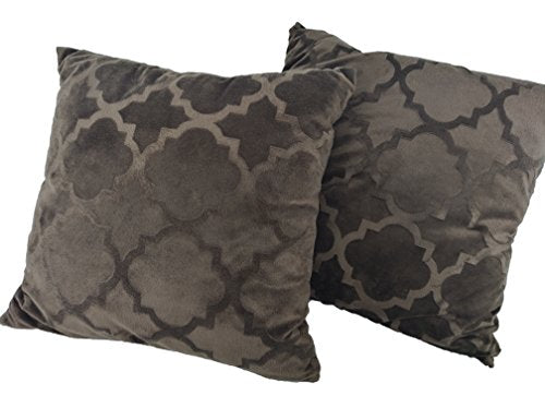 2 Pack Ashviee Luxurious Microplush Throw Pillow Contains Insert,Super Soft 3D Pattern Pillow 18X18"
