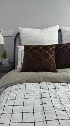 2 Pack Ashviee Luxurious Microplush Throw Pillow Contains Insert,Super Soft 3D Pattern Pillow 18X18"